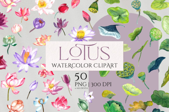 Lotus Flower Water Lily Elements Set